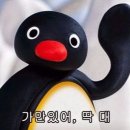 제원기업BYC 네이버블로그