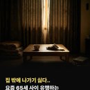 집밖에 나가기 싫다.. 요즘 65세 사이에서 유행하는 무서운 현상 이미지