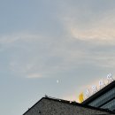 [일상] 요거트월드/디저트39 크로칸슈/미용실 매직하며 답방다니기 ෆ