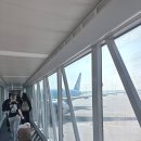907 | 인천에서 런던 대한항공 KE907 좌석 기내식 엔터테인먼트 후기
