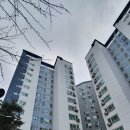 현대오스카공인중개사사무소 | 미국인 선호 평수 넓은아파트(Oscar apartment)