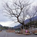 청도행정사무소 이미지