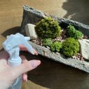 스튜디오콩테 이미지