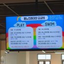 물노리베이비