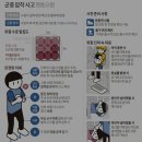 씨큐비(주) | 워너원 고 백투베이스 오프닝 세레모니 다녀온 후기 - aka 워너원 상암절 (윤지성 덕질일기 260406)