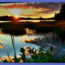 재활나라 이미지