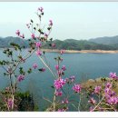 명구농장 티스토리