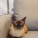 고래힐 동물병원 이미지