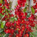 명자농장 이미지