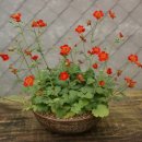 과천시노인복지관 이미지