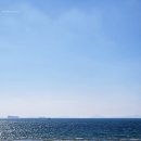 솔바람 파도소리 이미지