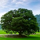 왜관중학교 이미지