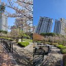 중앙공원 화장실 이미지