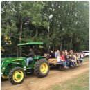 호박농장 이미지