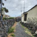 옹포소녀 이미지