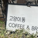 [등촌] 브런치 맛집 &#39;카페 고양이똥&#39; 내돈내산 후기 feat. 진짜고양이도 있도라