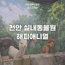 해피1000 마트 앞 | 천안 아기랑 갈만한 곳｜실내동물원 해피애니멀 9개월 아기 방문 후기