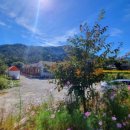 노랑펜션 이미지