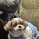 정곡초등학교 | 경남 의령 이병철 선생 생가 근처 실내 애견동반카페 그린찬스커피｜아메리카노 3000원, 또 가고 싶은 곳