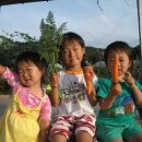 태인농장 이미지