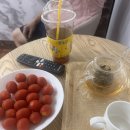 중국정통발관리