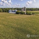 도시농장 이미지