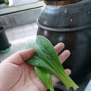 만석목장 이미지