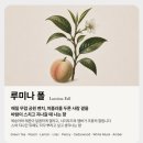 [서울/마포구] 홍대 연남동 향수 쇼룸 | 빈트 뉴욕 | 니치향수 | 루미나폴 | 구매후기