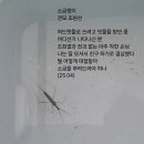 소금쟁이 - 수성구 | 소금쟁이