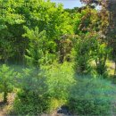 신영1리경로당 이미지