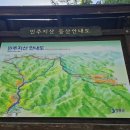 세미 민박 이미지