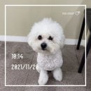 커브스 당산2클럽 이미지