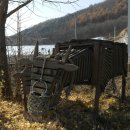 소머거리 이미지