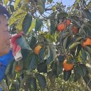 봉동2농장 이미지