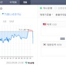 유로(YoLo) 이미지