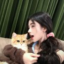 키쿠 - 부평구 경원대로1403번길 15 | 키쿠