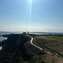 협자연대 | 제주 동쪽 가볼만한곳 여행 코스 추천 섭지코지 맛집 주차장 유채꽃