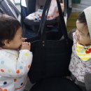 조아쥬스 이미지