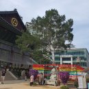 양감우체국 | 서울 조계사 / 2024.10