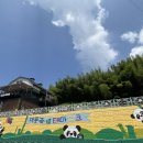 숨소슬커피