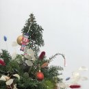 키즈 플라워와 방학생활 이미지