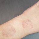 이호동한의원 이미지