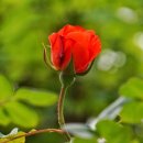 개포4-105 이미지