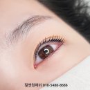 사직동 | 사직동 속눈썹 블랙틴팅펌 후기 좋은 곳