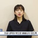 시험관 질정, 왜 꼭 사용해야 할까? 프로게스테론의 중요한 역할