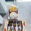 씨즈퍼스트 | 강유미 일상, 페넬로페 더퍼스트박스, 씨즈캔디, 블루독, 팥빙수, 쫄면,김밥