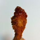 멕시카나치킨화정점 | 멕시카나 신메뉴 진짜 바삭한 핫후라이드 와삭칸치킨 후기 (feat.닭다리 변경 꿀팁)