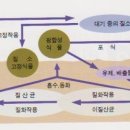 비료의 븐류 및 종류별 특성 이미지