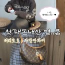 (주)픽스멜연구소 | 내돈내산 루이비통호보백 루핑, 셀린미니백 클로드 구매후기(+저렴하게사는방법)