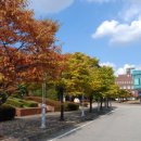 [2015 대입 잣대] 등록금 최고는 산업기술대...‘시립대의 4배’ 이미지